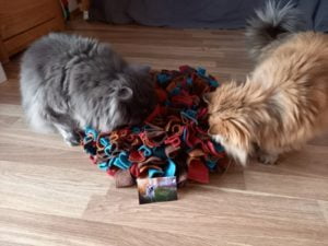 Henry und Penny (23)