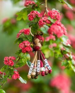 _DSC2730-Web