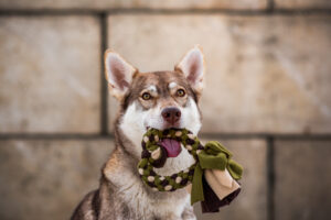 _DSC0449-Web