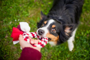 _DSC1347-Web